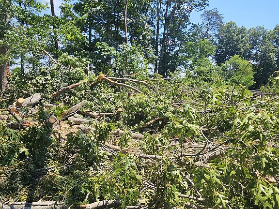 5th image of 0 White Oak Dr #23H
