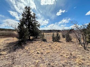 1238 Overland Circle, Jefferson, CO 80456