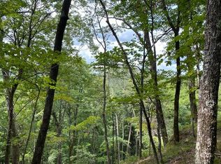 LOT 53 Bluff Ridge Rd UNIT 53, Altamont, TN 37301