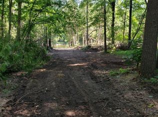 Blue Vista Dr, Evart, MI 49631