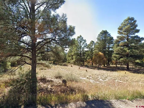 454 Prospect Boulevard, Pagosa Springs, CO 81147