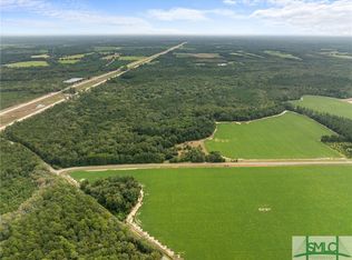 0 Bowen Rushing Rd, Statesboro, GA 30458