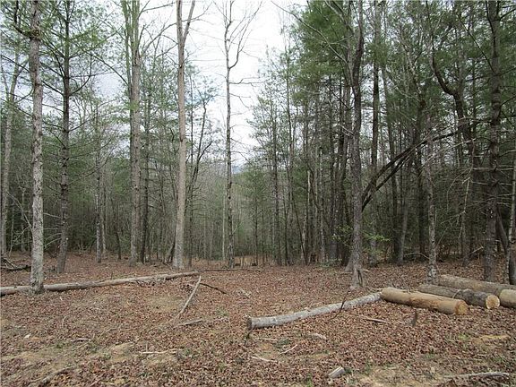 5th image of E New Hope Rd