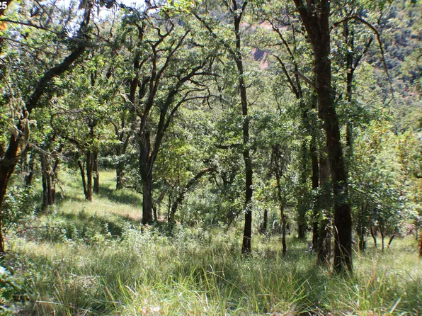 345 Sierra Dr, Roseburg, OR 97471