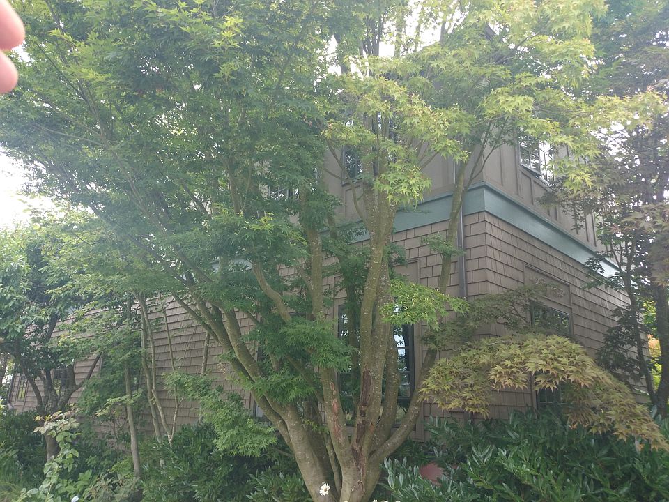 2nd image of 2141 45th Ave SW