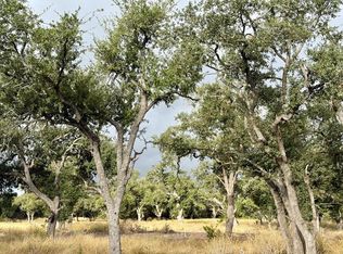 290 Stallion Dr, Harper, TX 78631