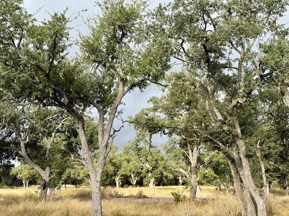 290 Stallion Dr, Harper, TX 78631