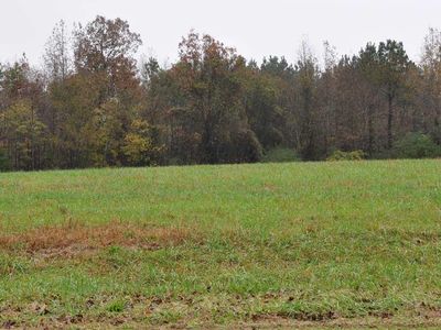Tbd N Old Us 421 Rd, Staley, NC, 27355