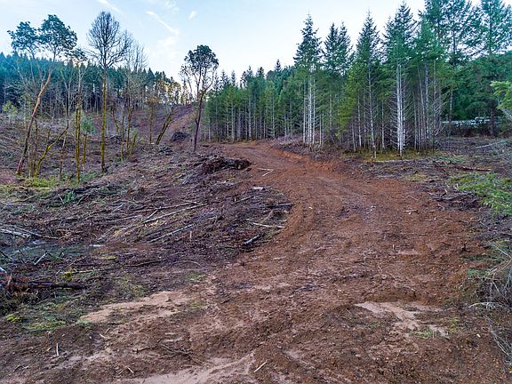2nd image of 1240 Indian Creek Dr