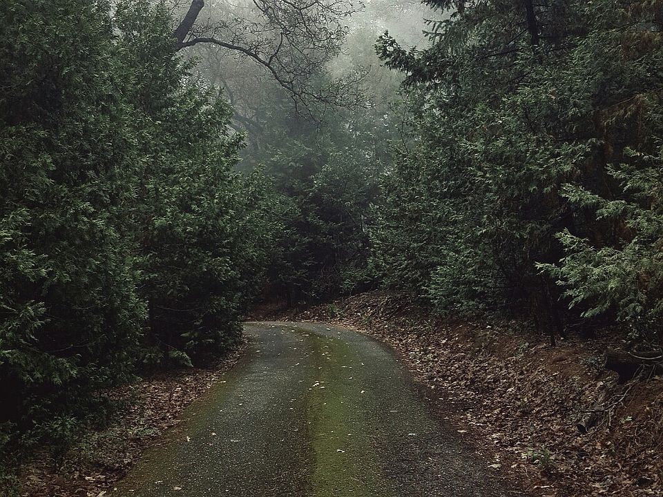 Private Driveway