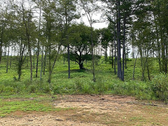 5th image of LOT 13 New Water Way