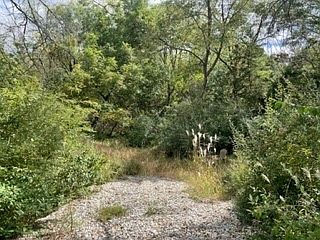 2nd image of 4217 Bluegrass Dr