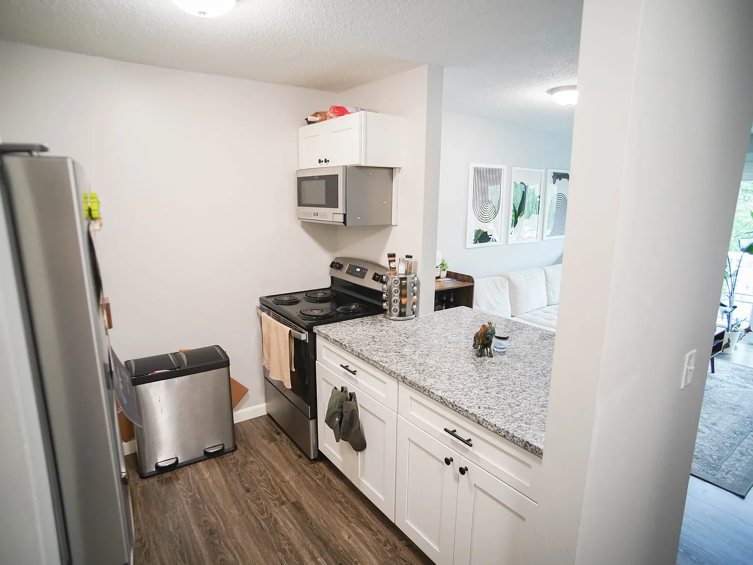 1 bed, 569 sqft, $1,750 — Photo 4