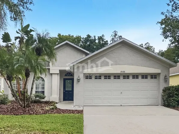 19135 Chemille Dr, Lutz, FL 33558