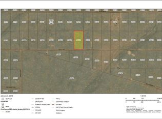 8437 Routt Rd, Hartsel, CO 80449