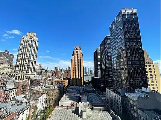 Rented by Manhattan Realty Group | media 5