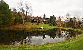 Pond View