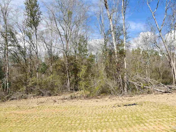 20 Creek Bluff Dr, Milton, FL 32571