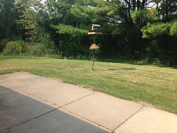 Backyard with patio
