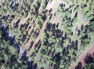 0 Rim Rd #0, Lakeside, AZ 85929