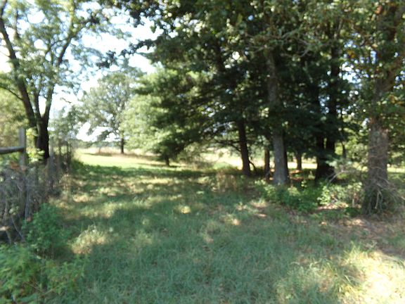 5th image of 6727 County Road 1750