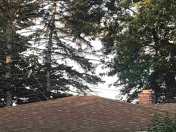 4th image of 2602 Whitemore Pl