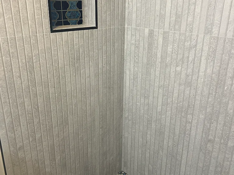 Guest Shower