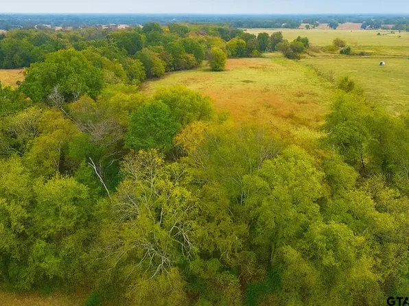 20.83 Vz County Road 1118, Grand Saline, TX 75140