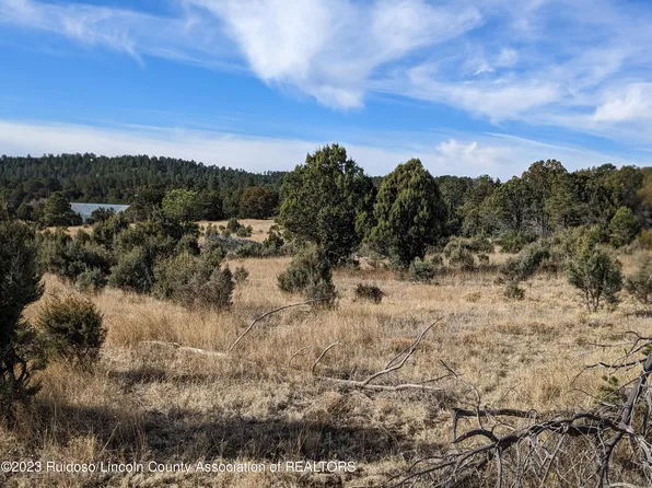 102 Elderberry Ln, Alto, NM 88312