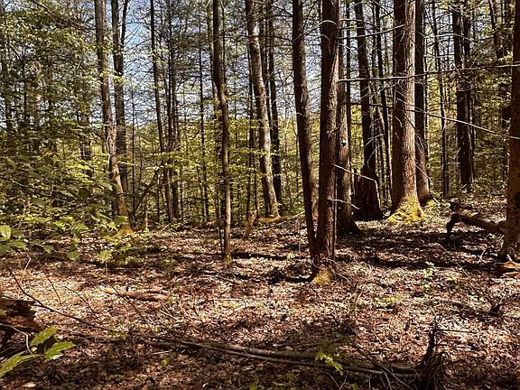 5th image of 0 Mathis Branch Rd Lot 9