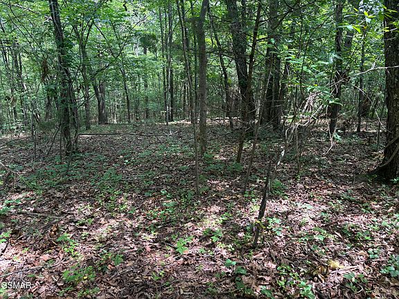 5th image of LOT 9 Red Bud Dr