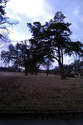 5th image of 202 W Caldwood Dr