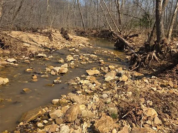 TRACT 1 Bcr 930, Patton, MO 63662