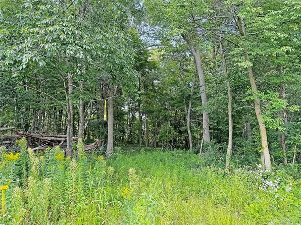 XXX 57th Avenue, Osceola, WI 54020