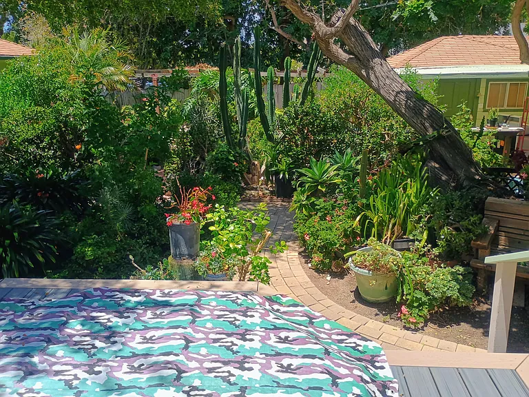 Front Garden