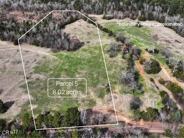 5 County Road 477 W Parcel 5, Henderson, TX 75654