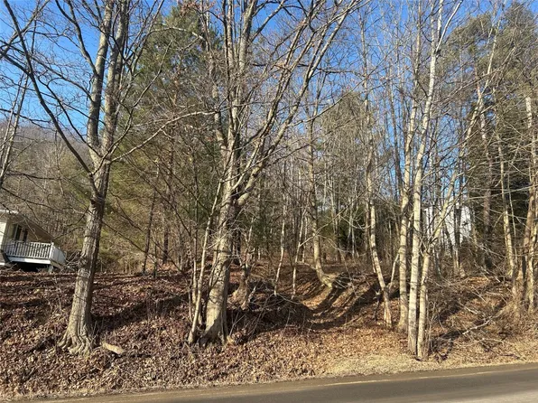 835 Oakdale Rd, Johnson City, NY 13790