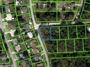 201 Howell Ct, Lake Placid, FL 33852