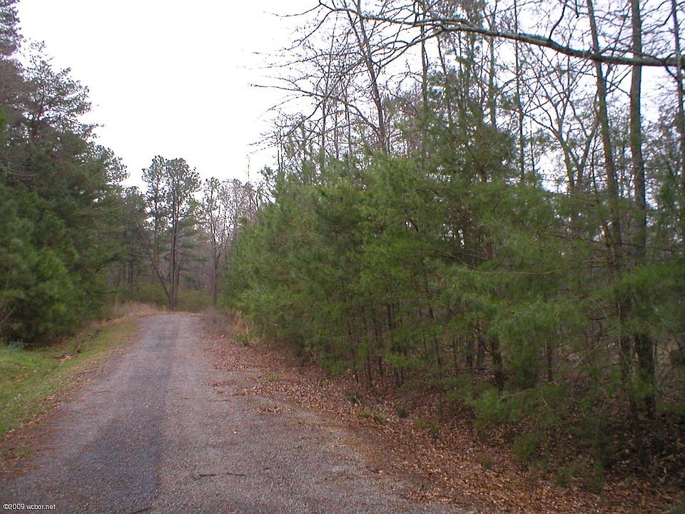 2nd image of CR219 Lots #56
