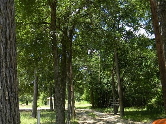 4th image of 145 County Road 1743