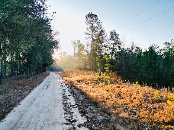 5th image of Live Oak Rd Lot Wp001