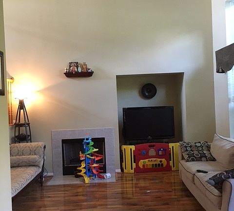 Living Room with high end