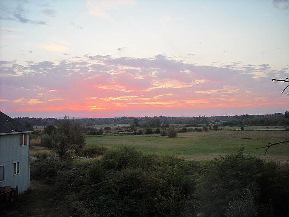 View from Bedroom Window