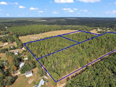 Quale Grove Rd LOT 700, Eustis, FL, 32736