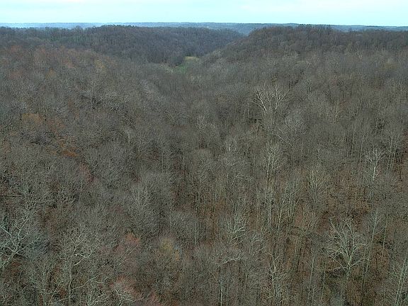 3rd image of 569 Rebel Ridge Rd