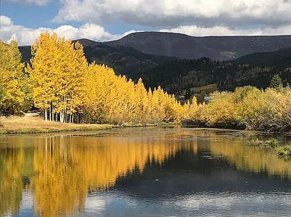 1151 County Road 7 #14, Leadville, CO 80461