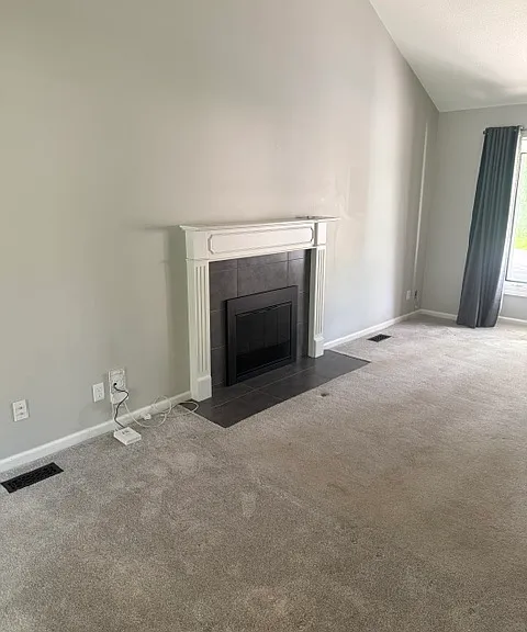Living Room Fireplace
