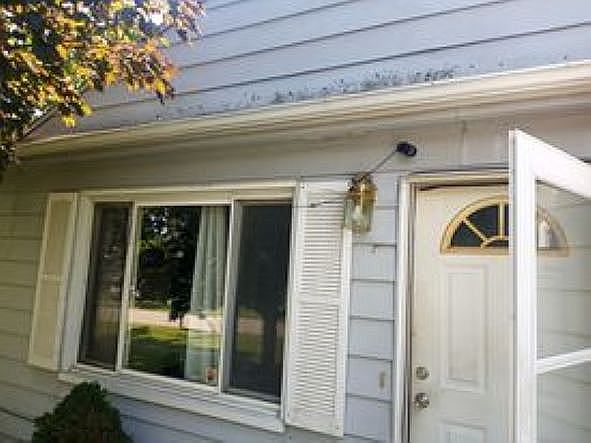 Mold above front door