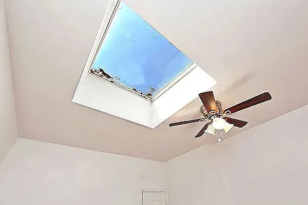 335 Wyona St #2 — Photo 5