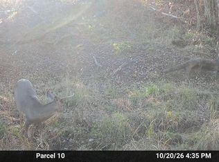 V/l Down To Earth Way Parcel 10, Prescott, MI 48756